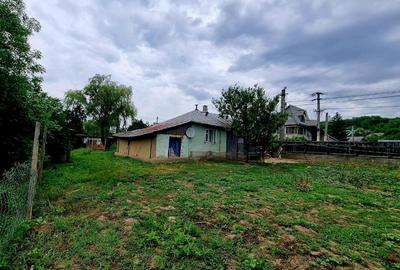 Casă cu 3 camere în Podu Turcului - 3
