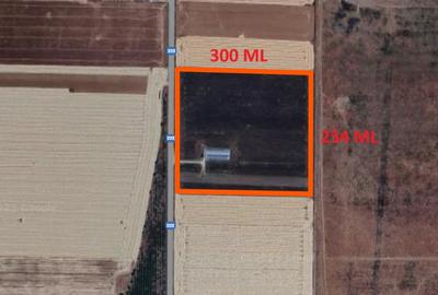 Teren Construcții intravilan de 70000 mp, în Mihail Kogălniceanu - 2