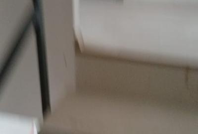 Casă cu 2 camere cu Teren 165 Mp în Alexandriei - 12
