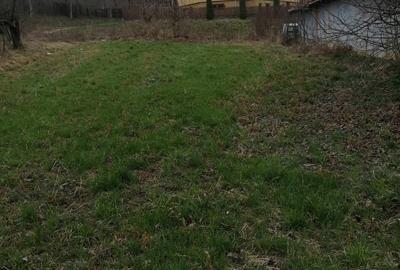 Casa de vanzare cu 21 ari de teren intravilan - 4