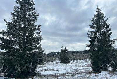 Teren Belis 1000mp - 12