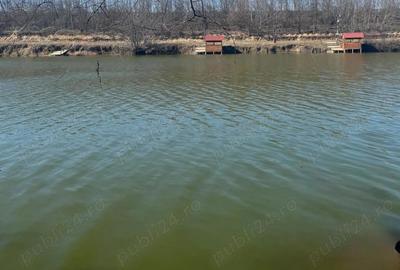 Teren de 1800 mp, în Piteasca - 9