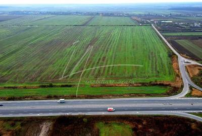 Teren intravilan curti-constructii, industrial, Autostrada A1 - km 62 - 3