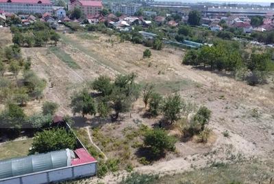 Teren de 535 mp, în Șișești - 3