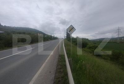 Teren extravilan de vanzare, 51 ari, zona Crainimat - 4