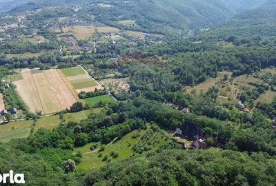 Casă cu Teren 24700 Mp în Copalnic - 10