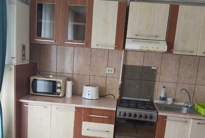 Inchiriez apartament cu 2 camere parter zona Piata Victoriei- Titulesc - 2