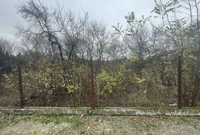 Teren in suprafata de 2165 mp cu front de 30 ml - 3