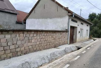 Casă cu 2 camere cu Teren 296 Mp în Teregova - 9