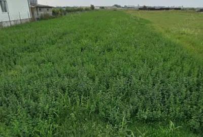 Teren de 2500 mp, în Căpățânești - 3