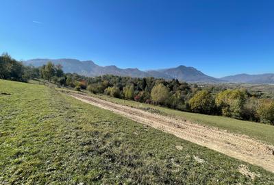 Teren intravilan loturi intre 500 si 1000 m la 5 km de Moieciu - 2