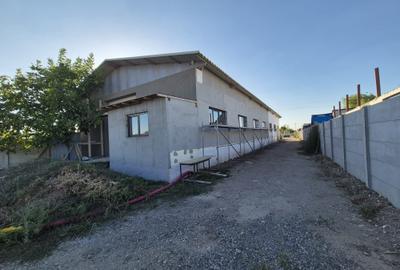 Inchiriere hala industriala, centura Jilava, acces TIR - 2