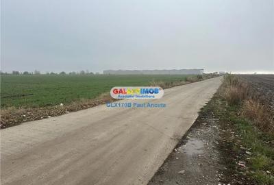 Teren în Petrăchioaia