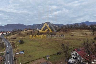 Teren de 10170 mp, în Dumbrăvița - 4