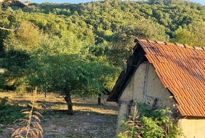 Casă cu 3 camere în Căpruța - 5