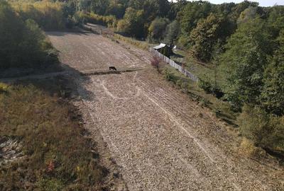 Spațiu comercial, în Mica - 6