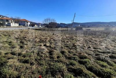 Teren în Chinteni - 4