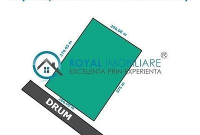 Royal Imobiliare - Vanzare Teren Extravilan Baicoi - 1