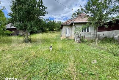 Casă cu 2 camere cu Teren 5000 Mp în Band - 4