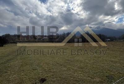 Teren Zarnesti | Tohanita | Intravilan | PUZ aprobat | Fara Utilitati | 9.053mp - 17