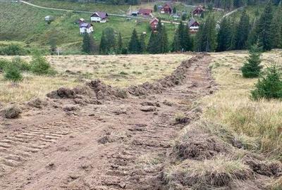 Teren de 1000 mp, în Poiana Horea - 3