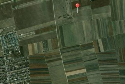 Teren de 10000 mp, în Cărpiniș - 1