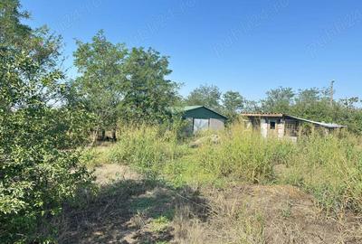 Casa de vanzare Sat Vieru, Giurgiu - 7