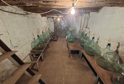 Casă cu 4 camere în Obrejița - 7