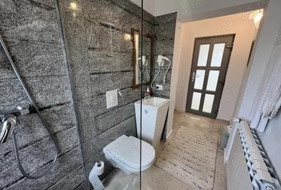 Vand superba casa in BACIA , teren de 2000 mp - 5