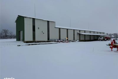 Casă cu 6 camere cu Teren 52000 Mp în Supur - 15