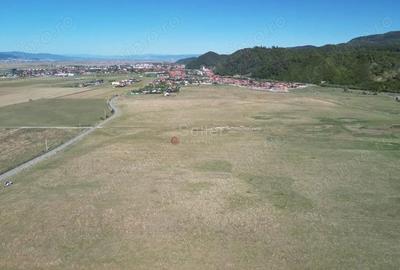 Teren extravilan Rasnov - 4