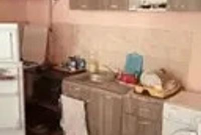 Apartament la casa vanzare sau inchiriere - 2