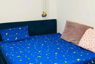 Apartament ultracentral cu 2 camere, locuibil, Republicii - Pta. Mihai Viteazul - 5