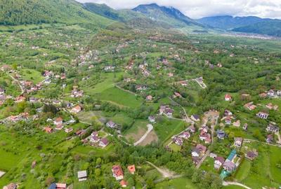 Teren de vanzare cu potential turistic-Predelut,comuna Bran - 9