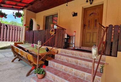 Casa de ?ara de vanzare - 4