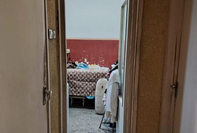 Apartament 2 camere pe malul Cri?ului - 10