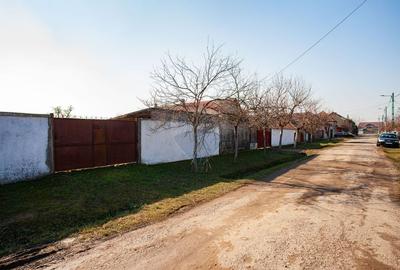 Casa cu teren generos in orasul Pecica - 12