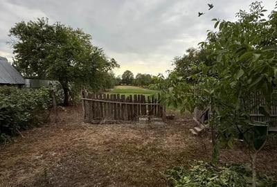 Casă cu 4 camere în Gavojdia - 3