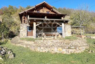 Casă cu Teren 2046 Mp în Tileagd - 2