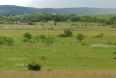 Teren de 1000 mp, în Central