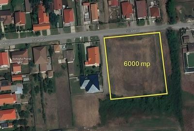 Ocazie! Teren 6.000 mp cu toate utilitățile - Săcălaz, zonă excelentă Ocazie! Teren 6.000 mp cu toate utilitățile - Săcălaz, zonă excelentă - 1