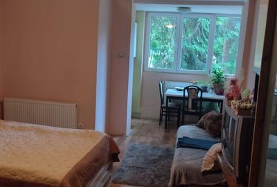 Vand apartament cu 1 camera,etajul 1 din 9, in Aleea Carpati,mobilat si utilat. - 5