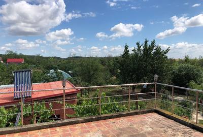 Vila in Bulbucata, Giurgiu, sat Teisori - 8