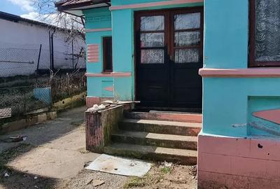Casă cu 3 camere în Gura Văii