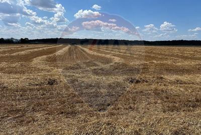 Teren Construcții extravilan de 1858 mp, în Izvorani - 3