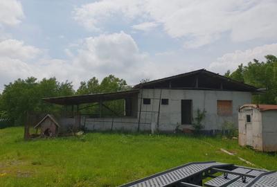 Casă cu 4 camere în Central - 3
