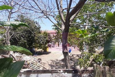 Teren foarte bun pentru construc?ie casa in Voluntari - 9