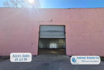 Spațiu comercial, de 216 mp, în Rogerius - 6