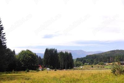 Teren de 2121 mp, în Valea Doftanei - 6