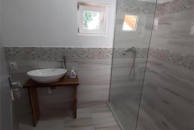 Casă cu 2 camere în Cârțișoara - 10